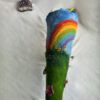 Regenbogen-Schultüte Schaukel