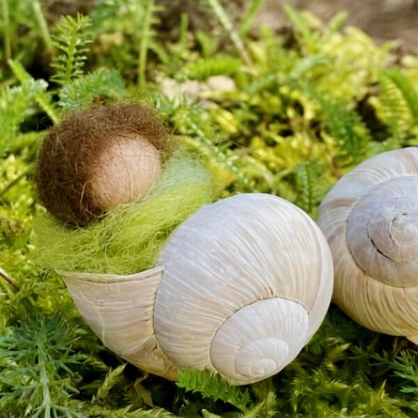 Jahreszeitenfigur Schneckenkind aus Filz im Schneckenhaus im Moos – handgefertigte Naturdeko für den Jahreszeitentisch