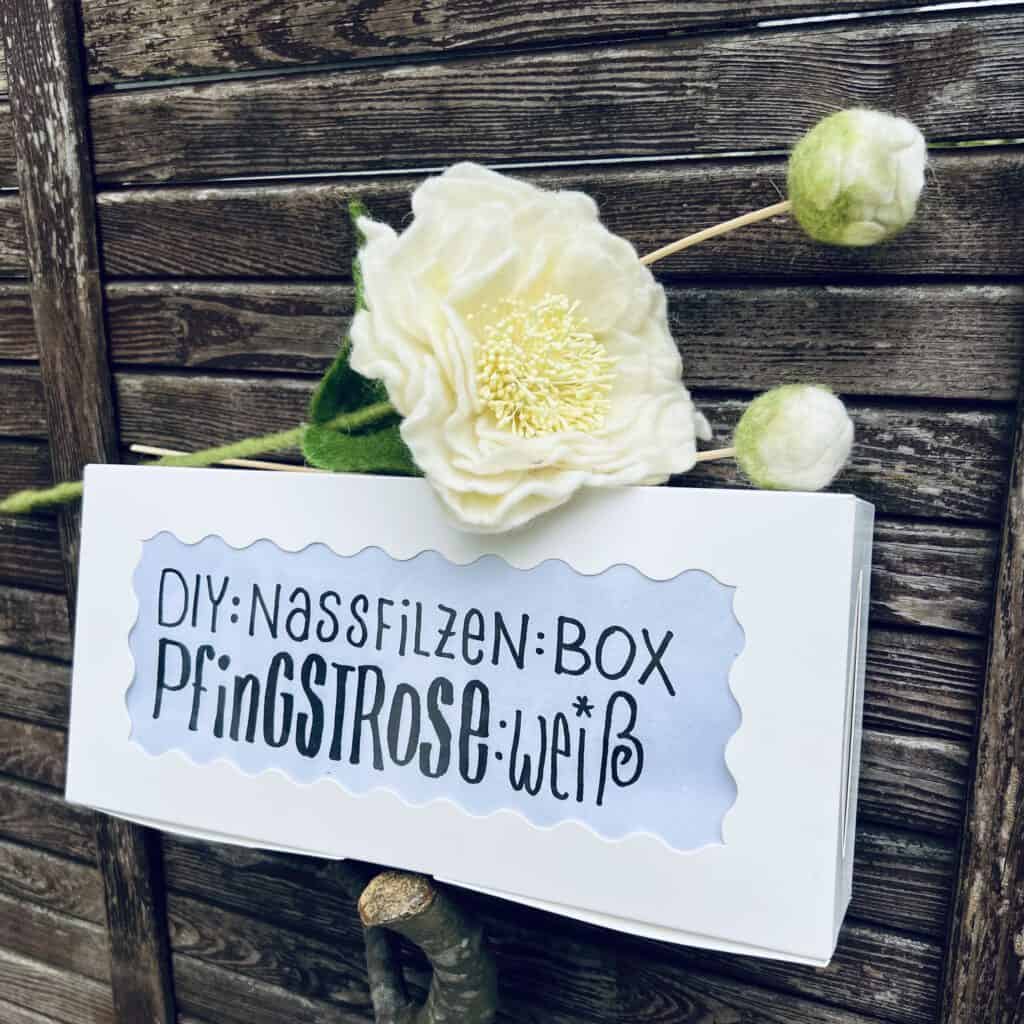 DIY-Box Pfingsrose weiß
