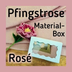 Materialbox-pfingstrose-rose