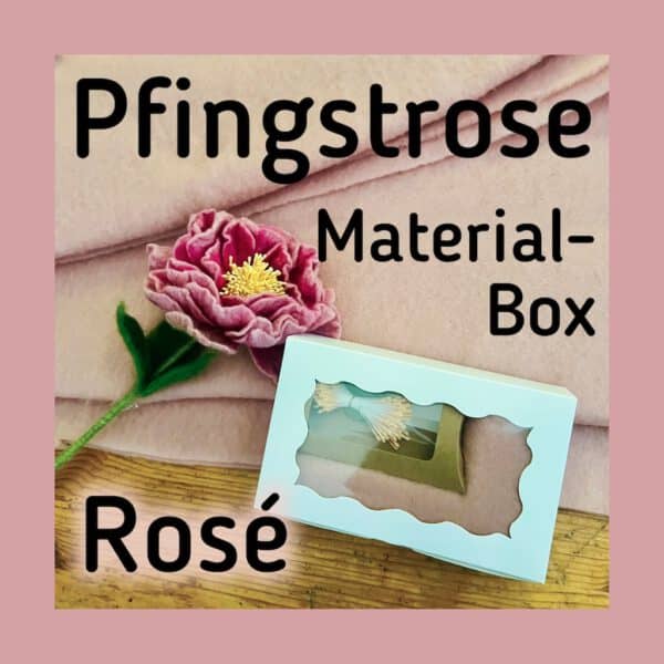 Materialbox-pfingstrose-rose