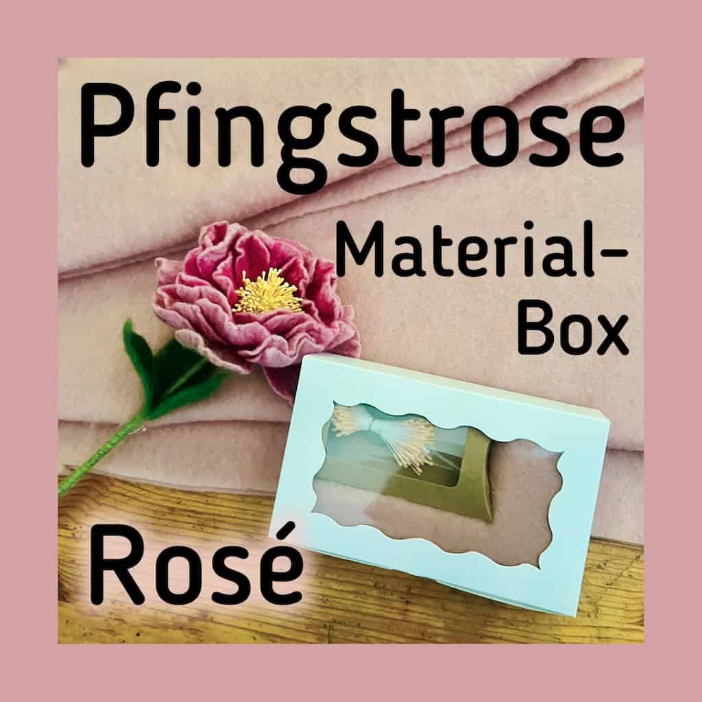 Materialbox-pfingstrose-rose