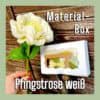 Material-box Pfingstrose weiss