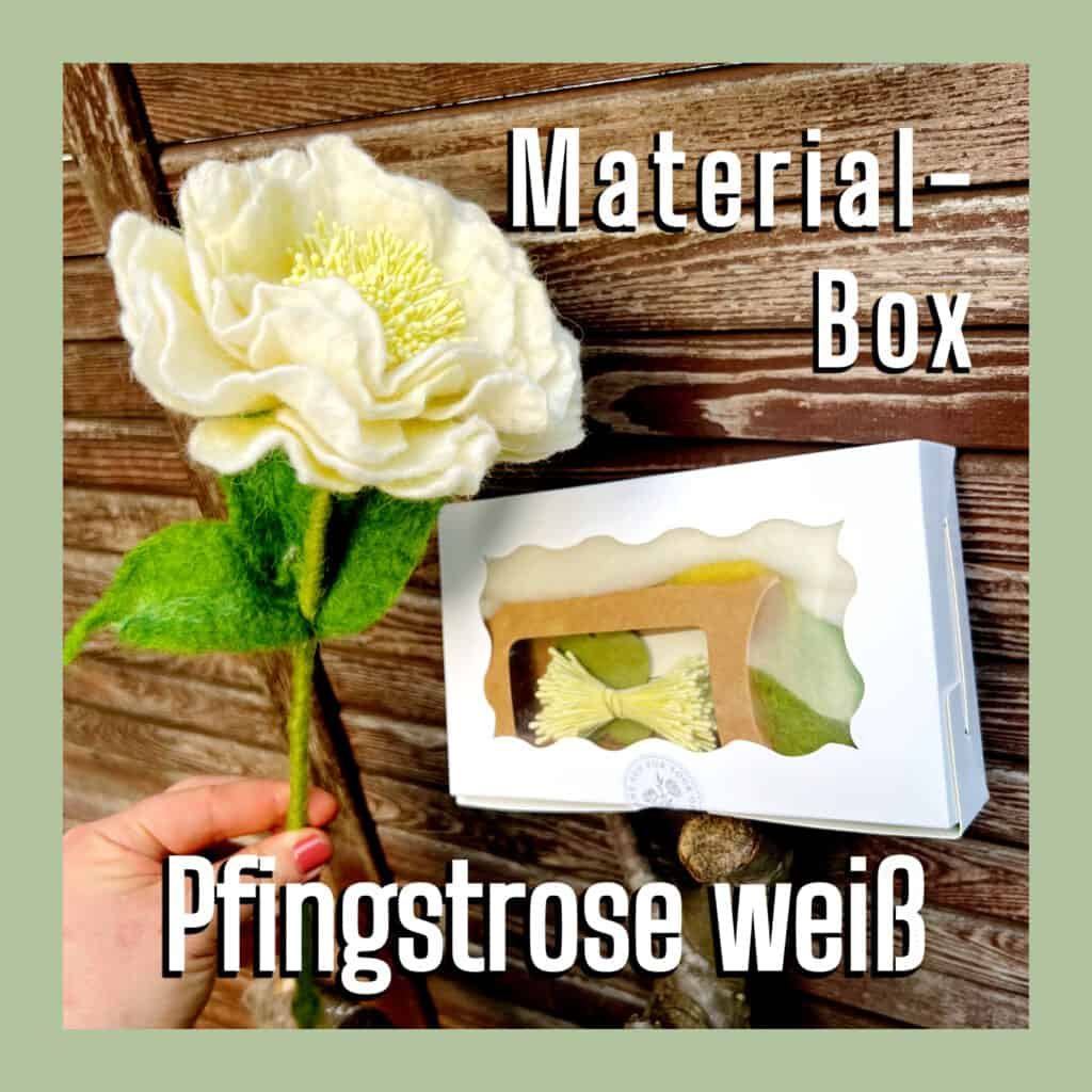 Material-box Pfingstrose weiss